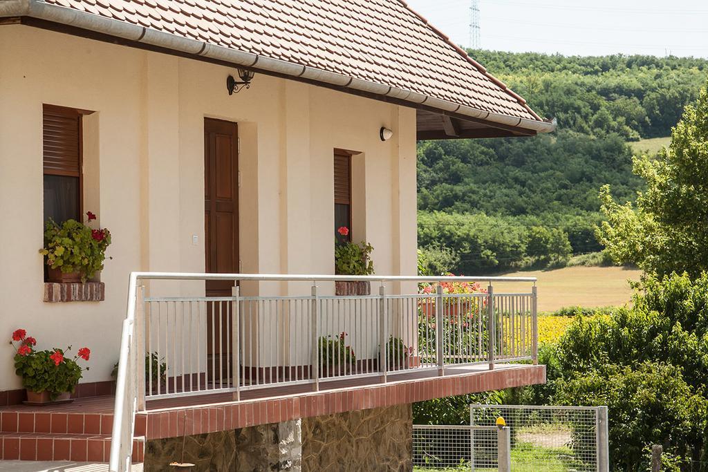 Wekler Csaladi Pinceszet Es Panzio Hotel Mecseknadasd Exterior photo